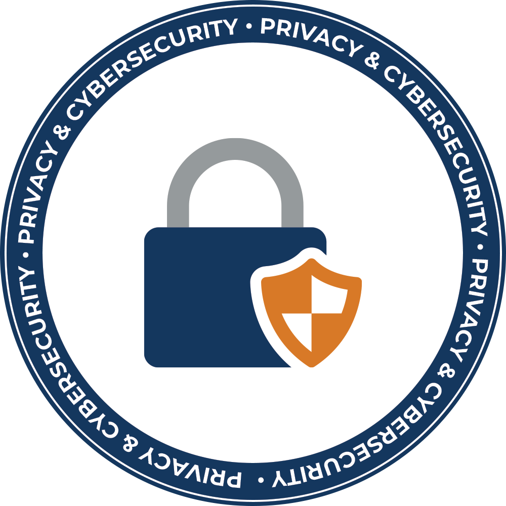 Privacy and Cybersecurity Icon